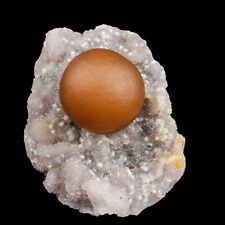 Huge Botryoidal Fluorite on MM Quartz Rare Natural Mineral Specimen # B-TUC 6668 picture