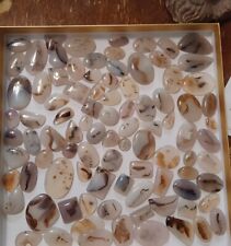 Lot of 3 High Quality Montana Agate  Gemstones picture