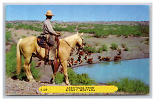 Cowboy Horse Cattle, Greetings From Sidney Montana MT Postcard picture