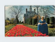 Postcard Governor's Palace Gardens Williamsburg Virginia USA picture