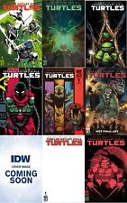 Teenage Mutant Ninja Turtles (2024) #1 IDW Cover set of 9 A-H Presale 7/25 picture