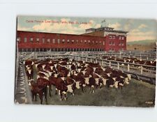 Postcard Cattle Pens at Livestock Yards East St. Louis Illinois USA picture