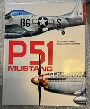 P51 Mustang by Robert Grinsell/ Rikyu Watanabe picture