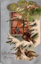 c1907 MERRY CHRISTMAS Embossed Postcard Birds / Family Xmas Tree through Window picture