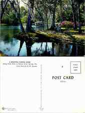 Vintage Postcard - A Beautiful Florida Scene Silver Springs, Florida Unused picture