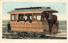 c1910 Cherrelyn Horse People Horse Riding On Streetcar Trolley Denver CO P277 picture
