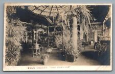 RPPC postcard Palm Garden, 