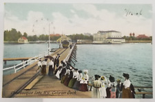 1906 Tourists Celoron Dock Ferris Wheel Railway Chautauqua Lake NY Postcard picture