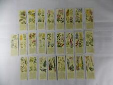 Typhoo Tea Cards Wild Flowers in their Families 2nd Series 1936 Complete Set 25 picture