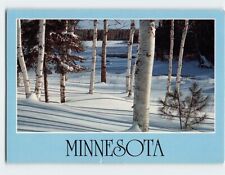 Postcard Winter Scene Minnesota USA picture