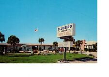 Vintage Ormond Beach Florida Bluebird Lodge Roadside Motel New Unposted #015 picture