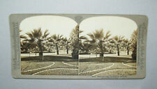 Antique Vtg 1900s W Lake Park Los Angels California Stereoview Photo Card Nice picture