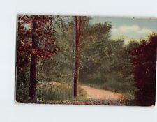 Postcard Forest Pathway Scene picture