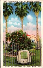 Riverside CA Historic Orange Tree Marker Arcade RR Station Cancel Teich Postcard picture