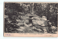 Old 1908 Postcard WOLF DEN POMFRET CT picture