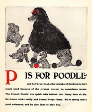 Vintage Poodle Print ABC Letter P Alphabet Print Poodle Dog Wall Art 5055k picture
