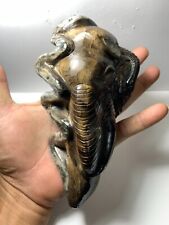 Large Stegodon Fossil Tooth Carved / very Beautiful / Rare Amazing Genuine picture