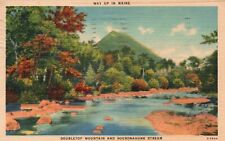 Postcard ME Way Up in Maine Doubletop Mt & Sourdnahunk Stream Vintage PC H6844 picture