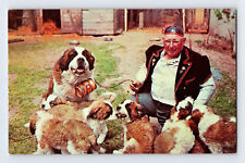 Postcard Wisconsin Monroe WI St Bernard Dog Barry 1960s Unposted Chrome  picture