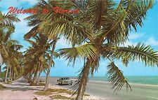 Postcard FL Welcome to Florida Palm Trees Beach c1970s-80s Unused picture
