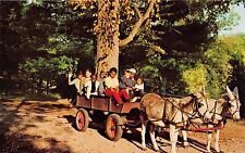 ANDOVER CONNECTICUT TIMES FARM CAMP JENNY & SAMMY PULL CART POSTCARD c1960s picture