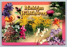 Michigan Wildflowers Pretty Colorful Flowers Vintage Unposted Postcard picture