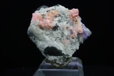 Rhodochrosite, Fluorite, Quartz, & Pyrite / 4.1cm Mineral Specimen / Wutong Mine picture
