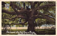 FL~FLORIDA~SOUTH JACKSONVILLE~LARGEST LIVE OAK TREE IN FLORIDA~MAILED 1916 picture