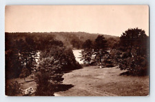 RPPC 1906. VIEW IN MONTROSE, PA. POSTCARD L29 picture