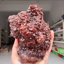 2.13LB Genuine rare Red Cap Auralite 23 raw cluster Quartz Mineral Specimen Y931 picture