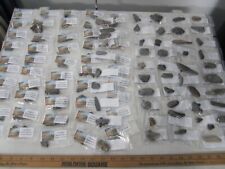 Fossilized Mammal Bone Venice, Florida Wholesale Lot 100pc Display Label picture