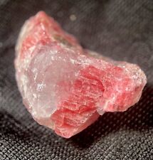 Red RHODONITE Natural Raw Gemmy Crystal Mineral Stone Rushinga ZIMBABWE picture