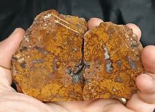 310g/0.68lb turkish plume agate stone rough,gemstone,collectible,specimen,rocks picture
