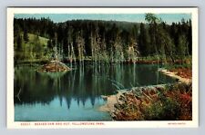 Yellowstone National Park, Beaver Dam And Hut, Series #20027, Vintage Postcard picture