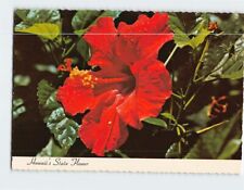 Postcard Red Hibiscus, Hawaii's State Flower, Hawaii picture