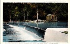 Weidner's Dam Manatawny PA Pennsylvania Berks County Earlville Vintage Postcard picture