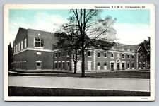Gymnasium S. I. N. U. Carbondale Illinois Vintage Unposted Postcard picture