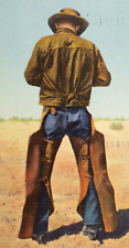 Vintage 1951 Postcard Western Cowboy Rolling Cigarette Divided Back Posted  PS1 picture