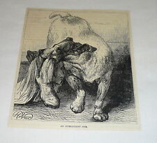 1878 magazine engraving ~ AN INTELLIGENT DOG picture
