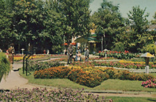 Family Admiring Elitch Gardens in Denver Colorado Chrome Vintage Post Card picture