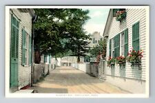 Nantucket MA-Massachusetts, Academy Avenue, Antique, Vintage Souvenir Postcard picture