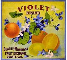 Violet Orange Duarte Monrovia Los Angeles Citrus Fruit Crate Label Art Print picture