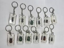 Insects Crystal Clear Keychain 12 Pcs  picture