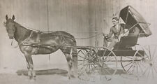 Antique Vtg RPPC Horse Drawn Buggy Man Hair Fashion Id’d Roy Thompson 1909 #258 picture