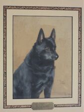 Magnificent Schipperke dog Painting, Reuben Ward Binks picture
