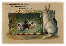 BUNNY RABBITS Vineland NJ BIDWELL DRUGGIST Victorian Trade Card 1880's picture