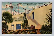 Marineland FL-Florida, Marine Studios, Nautical Atmosphere, Vintage Postcard picture
