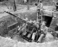 U.S. Soldiers with Captured Japanese AA Gun Okinawa 8X10 WWII Photo 193a picture