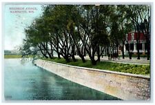 c1910 Riverside Avenue Trees Horse Carriage Marinette Wisconsin Antique Postcard picture
