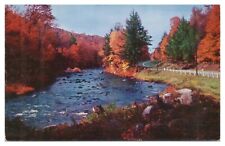 Vintage Along the Sacandaga River Speculator NY Postcard Unposted Chrome picture